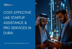 PRO Services in uae