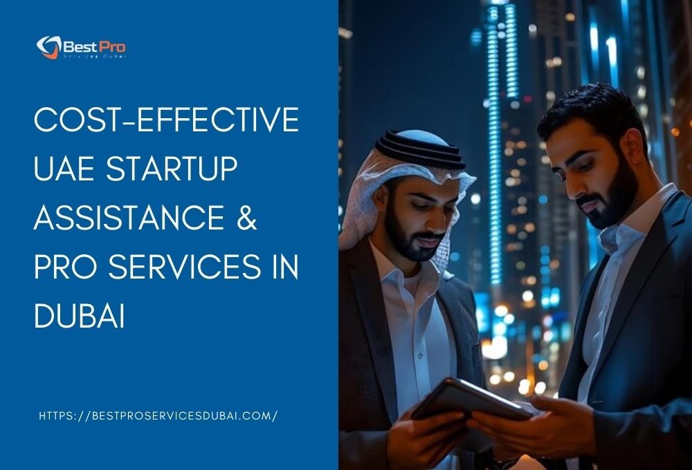 PRO Services in uae